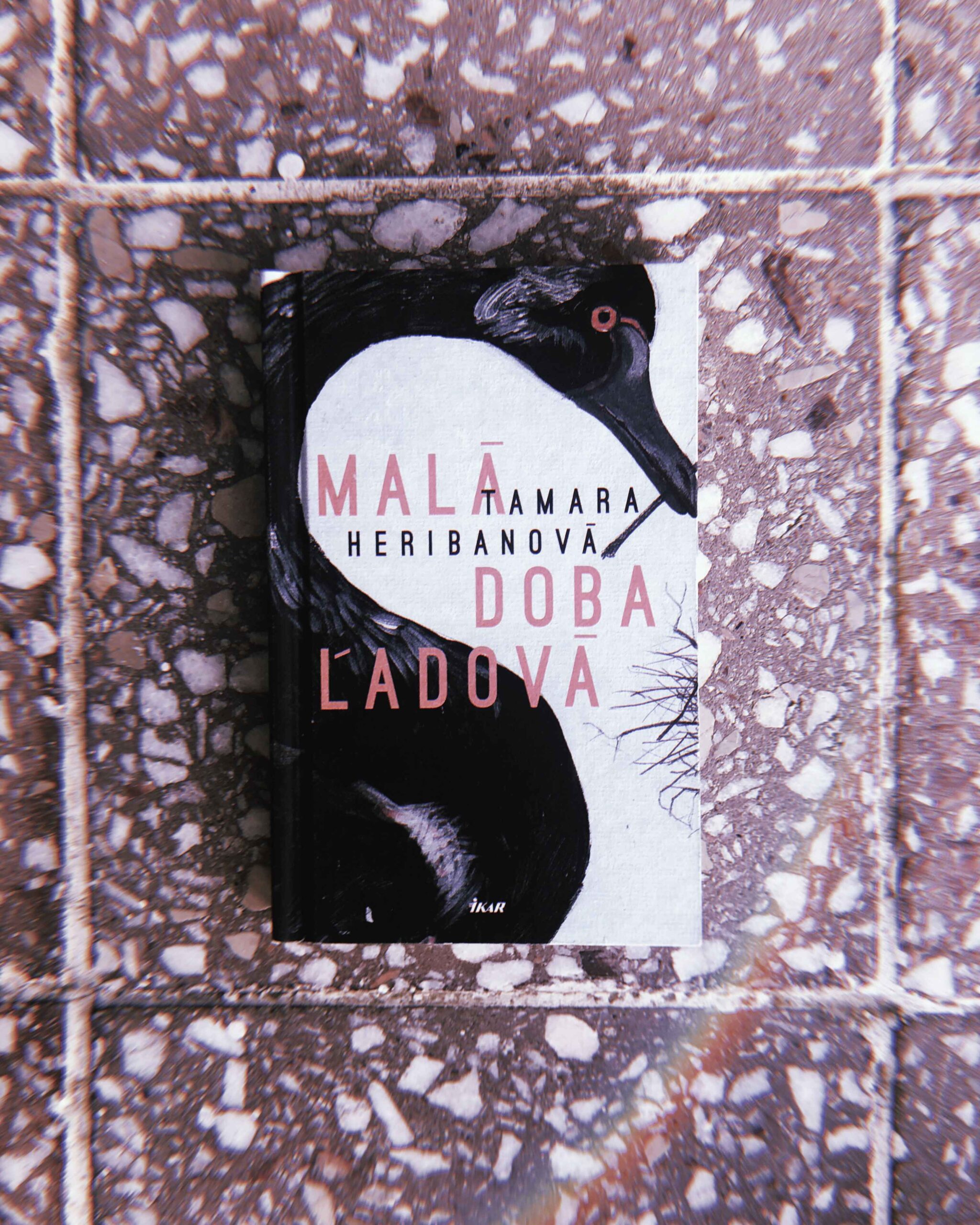 Malá doba ľadová – Tamara Heribanová